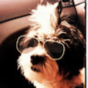 Meet your Posher, Jo rita